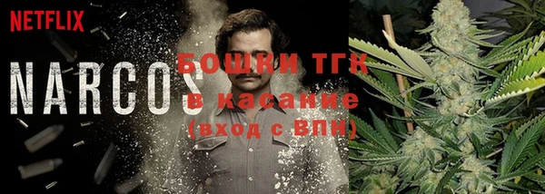 амф Мегион