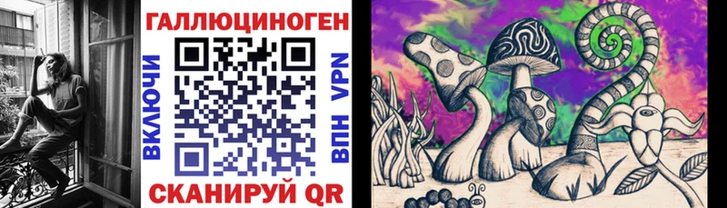 shop формула  Шагонар  Псилоцибиновые грибы мицелий 